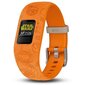 Garmin Vivofit jr2 Light Side 010-01909-1A hind ja info | Nutivõrud (fitness tracker) | kaup24.ee