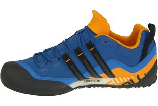 Meeste tossud Adidas Terrex Swift Solo AQ5296, sinine hind ja info | Spordi- ja vabaajajalatsid meestele | kaup24.ee