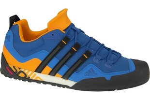 Meeste tossud Adidas Terrex Swift Solo AQ5296, sinine hind ja info | Spordi- ja vabaajajalatsid meestele | kaup24.ee