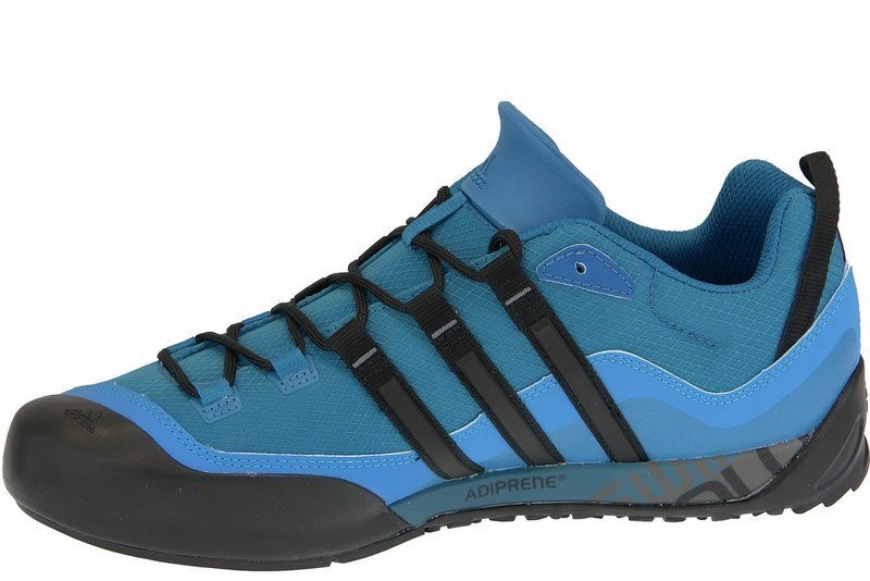 Meeste tossud Adidas Terrex Swift Solo D67033, sinine hind ja info | Spordi- ja vabaajajalatsid meestele | kaup24.ee