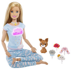 Barbie nukk koos meditatsiooni tarvikutega Mattel Barbie Wellness „Breath With Me“, GNK01 цена и информация | Игрушки для девочек | kaup24.ee