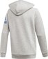 Poiste dressipluus Adidas Sport Track Hoodie Junior ED6486, hall hind ja info | Poiste kampsunid, vestid ja jakid | kaup24.ee