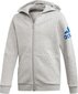 Poiste dressipluus Adidas Sport Track Hoodie Junior ED6486, hall hind ja info | Poiste kampsunid, vestid ja jakid | kaup24.ee