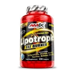 Toidulisand AMIX Lipotropic Fat Burner, 200 kapslit hind ja info | Vitamiinid, toidulisandid, preparaadid tervise heaoluks | kaup24.ee