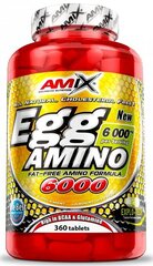 Аминокислоты EGG Amino 6000, 360 таблеток цена и информация | Витамины, пищевые добавки, препараты для хорошего самочувствия | kaup24.ee