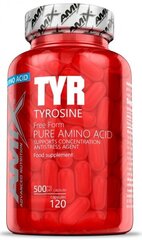 Tyrosine, 500 мг, 120 капсул цена и информация | Витамины, пищевые добавки, препараты для хорошего самочувствия | kaup24.ee