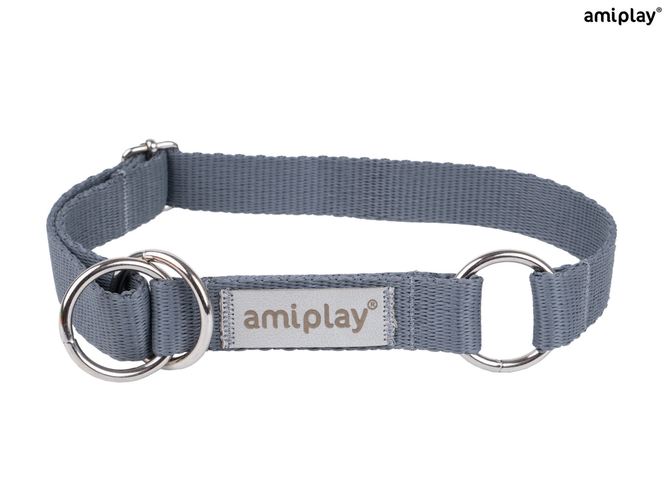 Amiplay poolpoov kaelarihm Samba, XL, Grey hind ja info | Kaelarihmad ja traksid koertele | kaup24.ee