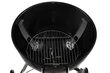 Grill Mustang Charcoal Gourmet 47, 44 cm цена и информация | Grillid | kaup24.ee