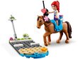 41446 LEGO® Friends Heartlake City loomakliinik цена и информация | Klotsid ja konstruktorid | kaup24.ee