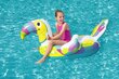 Täispuhutav madrats Bestway Toucan Pool Day Ride-On, 157x97 cm hind ja info | Täispuhutavad veemänguasjad ja ujumistarbed | kaup24.ee