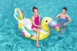 Täispuhutav madrats Bestway Toucan Pool Day Ride-On, 157x97 cm hind ja info | Täispuhutavad veemänguasjad ja ujumistarbed | kaup24.ee
