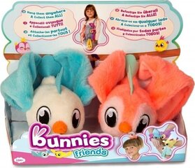 Игрушка Tm Toys Bunnies Friends 2шт., BUN097223/97834 цена и информация | Drewniana Wieża Piramida Kura Nakładanie Kolorowych Kwadratów LD-15 15276 | kaup24.ee