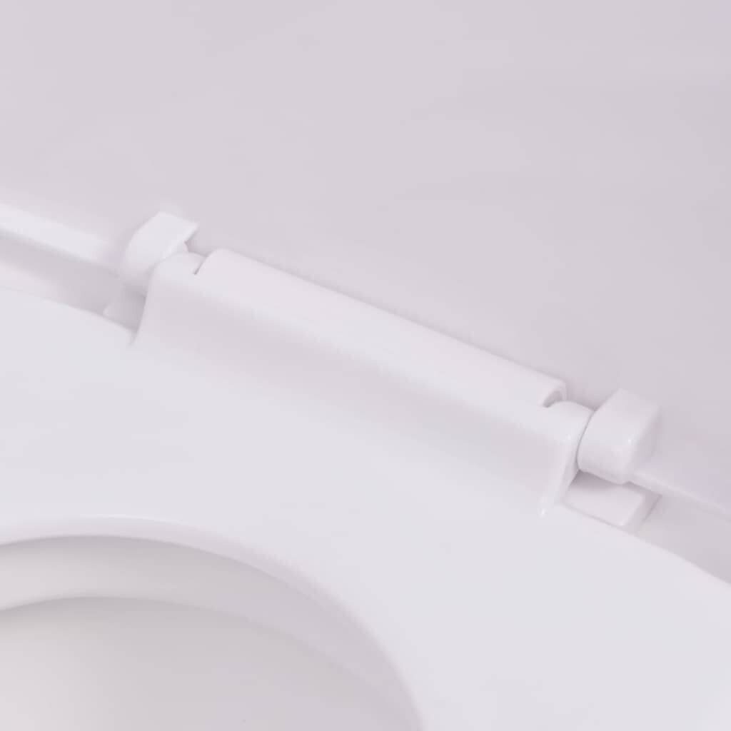 Seinale paigaldatav WC-pott varjatud paagiga, valge цена и информация | WС-potid | kaup24.ee
