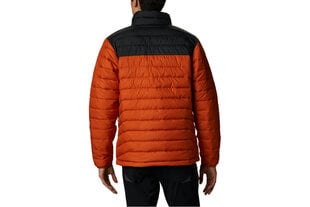 Куртка мужская Columbia Powder Lite Jacket цена и информация | Мужские куртки | kaup24.ee