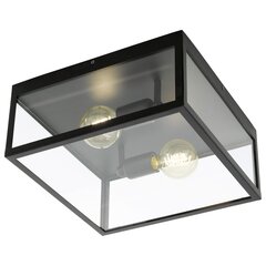 Lamp, must цена и информация | Потолочные светильники | kaup24.ee