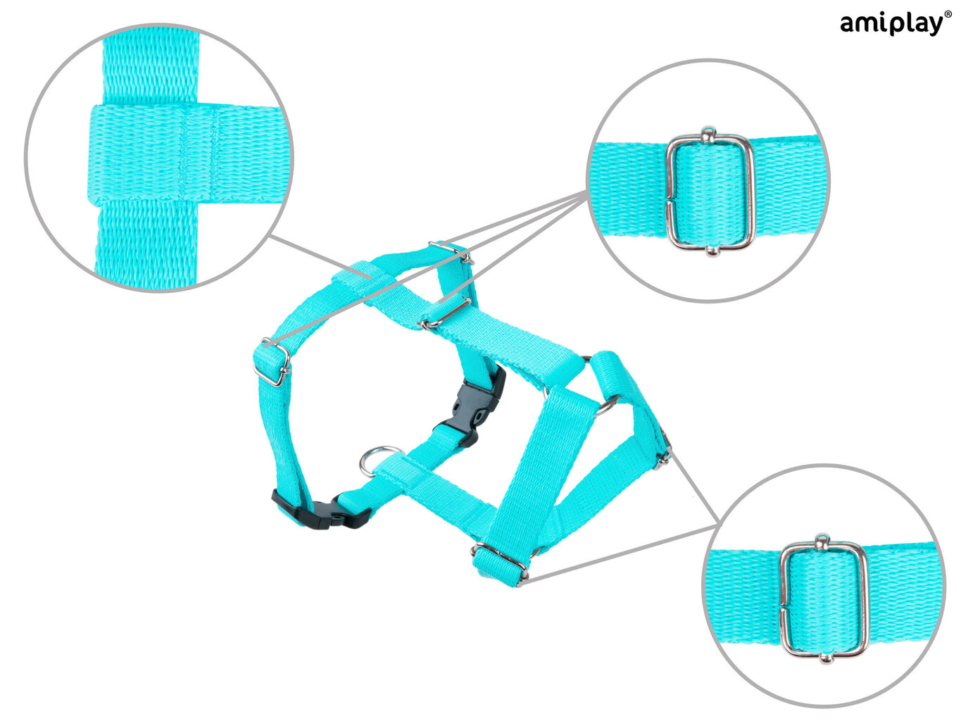 Reguleeritavad traksid Amiplay Guard Samba, XL, Turquoise hind ja info | Kaelarihmad ja traksid koertele | kaup24.ee