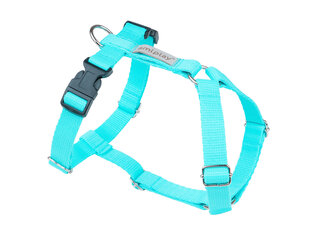 Reguleeritavad traksid Amiplay Guard Samba, XL, Turquoise hind ja info | Kaelarihmad ja traksid koertele | kaup24.ee