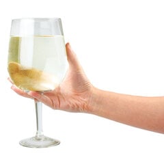Гигантский бокал вина цена и информация | Стаканы, фужеры, кувшины | kaup24.ee