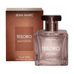 Туалетная вода Jean Marc Tesoro Pour Homme EDT для мужчин, 100 мл цена и информация | Мужские духи | kaup24.ee