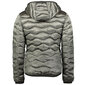 Meeste jope Geographical Norway Daloha Men Silver 095 hind ja info | Meeste joped | kaup24.ee