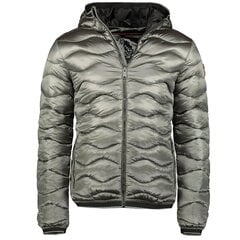 Meeste jope Geographical Norway Daloha Men Silver 095 цена и информация | Мужские куртки | kaup24.ee