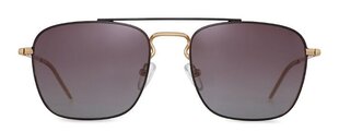 Päikeseprillid Label 1268 Polarized hind ja info | Meeste päikeseprillid | kaup24.ee