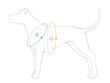 Reguleeritavad koerte traksid Amiplay EASY GO Samba, XL, Green цена и информация | Kaelarihmad ja traksid koertele | kaup24.ee