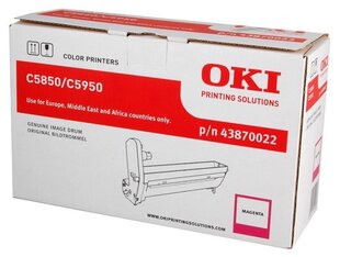 OKI 43870022 hind ja info | Laserprinteri toonerid | kaup24.ee