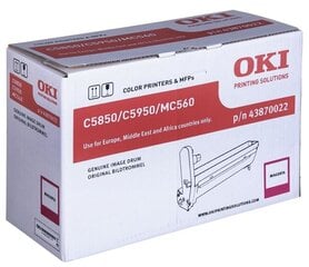 OKI 43870022 hind ja info | Laserprinteri toonerid | kaup24.ee