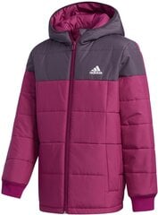 Куртка Adidas  Yk J Padding Purple цена и информация | Куртки, пальто для девочек | kaup24.ee