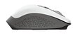 MOUSE USB OPTICAL WRL/OZAA WHITE 24035 TRUST цена и информация | Hiired | kaup24.ee