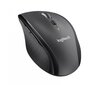 Logitech Marathon Mouse M705 : 910-006034 hind ja info | Hiired | kaup24.ee