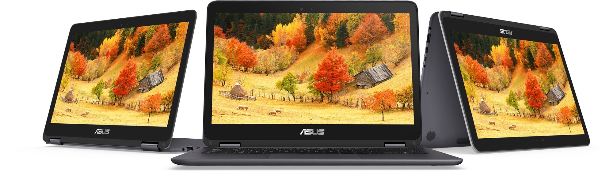 Sülearvuti Asus Zenbook Flip UX360CA-C4007T цена и информация | Sülearvutid | kaup24.ee