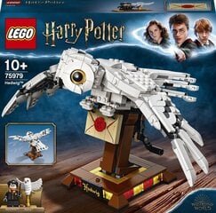 75979 LEGO® Harry Potter Öökull Hedwig цена и информация | Конструкторы и кубики | kaup24.ee