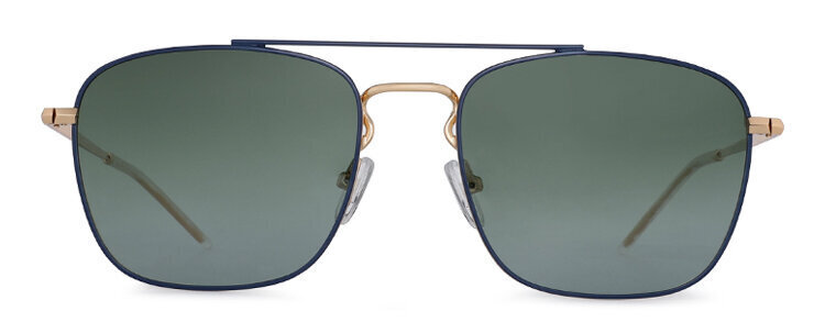 Päikeseprillid Label 1268 Polarized hind ja info | Meeste päikeseprillid | kaup24.ee