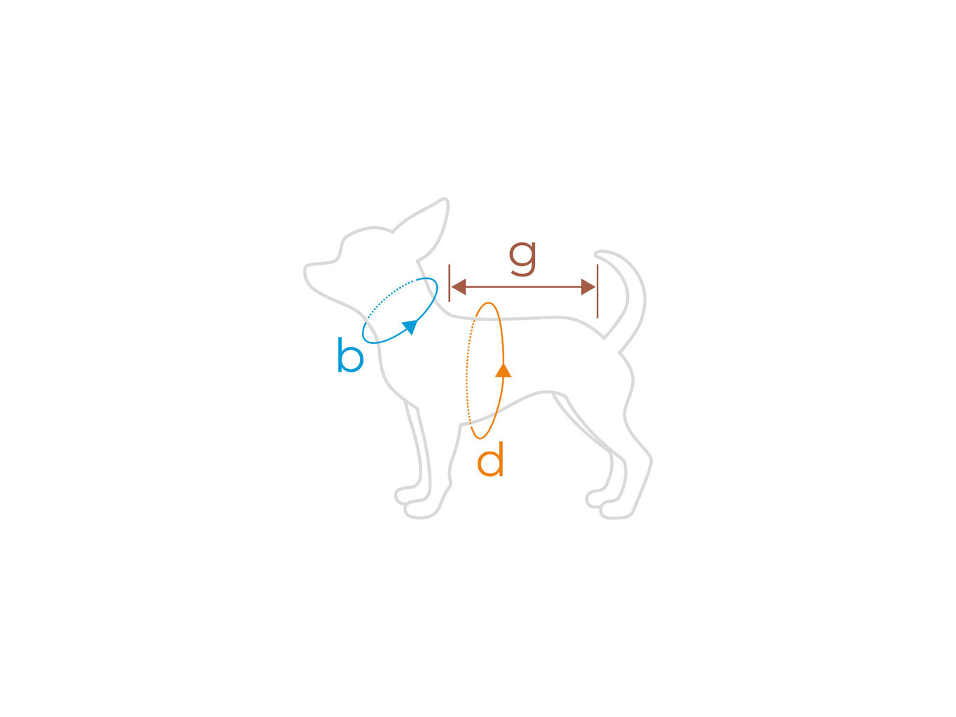 Koerte T-säek Amiplay Polo Oxford Chihuahua, XS, hall hind ja info | Riided koertele | kaup24.ee