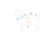 Koerte t-särk Amiplay Polo Oxford Maltese, M, hall hind ja info | Riided koertele | kaup24.ee