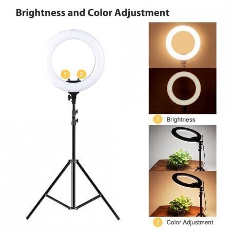 Lamp Black Ring, 36 cm, 40 W hind ja info | Fotovalgustuse seadmed | kaup24.ee