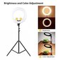 Lamp Black Ring, 36 cm, 40 W цена и информация | Fotovalgustuse seadmed | kaup24.ee