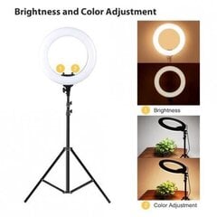 Lamp Selfie Ring akuga, 26 cm, 8 W, must hind ja info | Fotovalgustuse seadmed | kaup24.ee