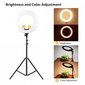 Lamp Selfie Ring akuga, 26 cm, 8 W, must цена и информация | Fotovalgustuse seadmed | kaup24.ee