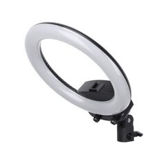 Lamp Selfie Ring akuga, 26 cm, 8 W, must hind ja info | Fotovalgustuse seadmed | kaup24.ee