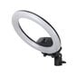 Lamp Selfie Ring akuga, 26 cm, 8 W, must цена и информация | Fotovalgustuse seadmed | kaup24.ee