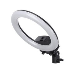 Lamp Selfie Ring taustvalgustusega, akuga, 26 cm, 22 W hind ja info | Fotovalgustuse seadmed | kaup24.ee