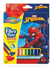 Mahapestavad viltpliiatsid Marvel Spider-Man, 12 värvi hind ja info | Kunstitarbed, voolimise tarvikud | kaup24.ee