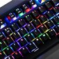 Modecom Hammer 2 RGB Brown цена и информация | Klaviatuurid | kaup24.ee