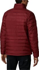 Jope meestele Columbia Powder Lite Jacket цена и информация | Мужские куртки | kaup24.ee