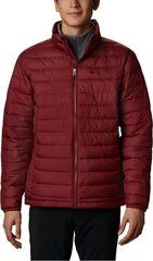 Jope meestele Columbia Powder Lite Jacket hind ja info | Meeste joped | kaup24.ee