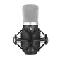 Kondensaator mikrofon Stagg SUM40 hind ja info | Mikrofonid | kaup24.ee