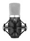 Kondensaator mikrofon Stagg SUM40 hind ja info | Mikrofonid | kaup24.ee